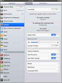 Screen shot of the Apple iPad at Settings / General / Accessibility.